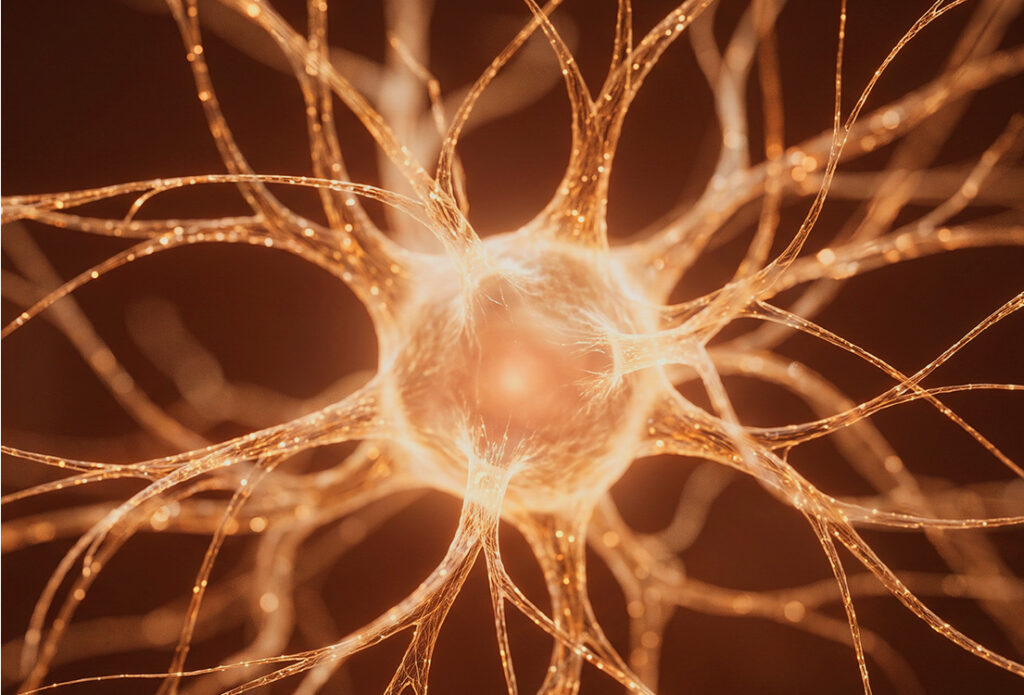 Illustration of Klotho and its role in cognitive and vascular health
